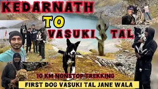 Kedarnath to Vasuki Lake trek || Kedarnath latest update vlog #kedarnath #awaraukboy #vasukitaltrek