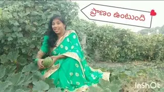 ప్రాణం ఉంటుంది 