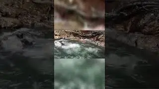 moolakona falls #shorts  