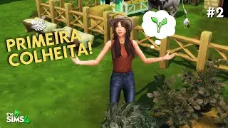 A PRIMEIRA COLHEITA da Maggie! 🍓 | The Sims 4 Legado na Fazenda EP2