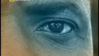 Search For Genetic Adam