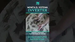 🏹 Como MONTAR las GOMAS de un FUSIL ROLLER INVERTER de PESCA SUBMARINA ❗❗❗