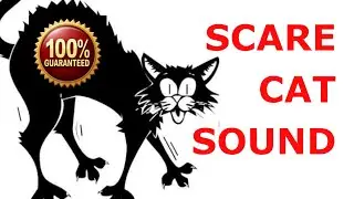 Make your Cat or Dog Go Crazy,   ~ Sounds Cats Hate All Time