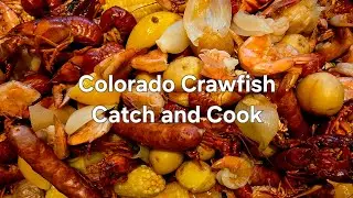 Two Nights of Trapping Massive Northern Crawfish Catch and Cook Louisiana Style!