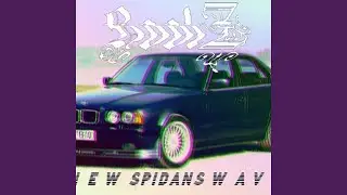 NEW Spidans Wave