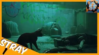 Я СТАНОВЛЮСЬ АПЕЛЬСИНОВЫМ КОТОМ‼️ - Stray (Полное прохождение игры)