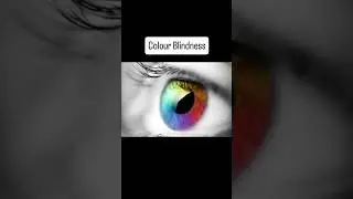 Colour Blindness | Study Genetics | Biology365 Official #ytshorts #viral #biology #neet #biology365