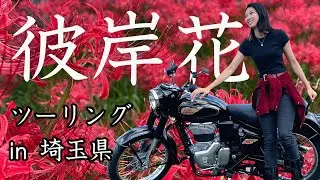 【ツーリングVlog】念願の彼岸花を観にゆく。in巾着田曼珠沙華の里【埼玉県日高市】