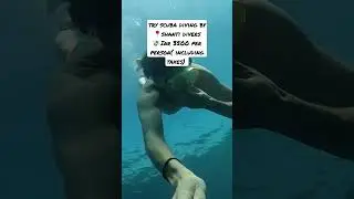 🤿 Scuba Diving in Palolem Beach, South Goa I Beginners INR 3500 per person 🥂