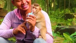 My cute girl Nori is lovely and happy life #Kosalteam #Savanateam #Kosolkean #Feedmonkeys 😍💕❤️