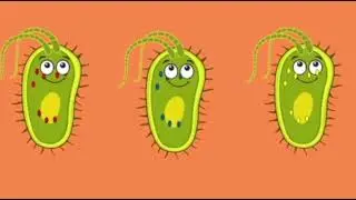 BSA3H_G4_CHY37: Nucleic Acids in Crop Genetic Engineering
