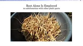 How Plant Medicines Make Their Way To You - By Author Chris Kilham