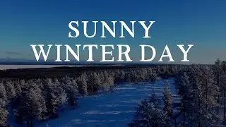 Sunny winter day