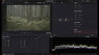 Add Swirly Bokeh to Any Shot - LensNode Tutorial