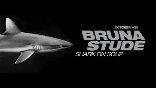 Bruna Stude: Shark Fin Soup | Oct. 1, 2015 - Opening Reception