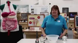 A Digestive Journey - Cambridge Science Centre - TRAILER