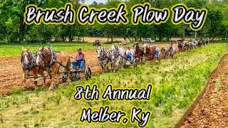 PLOWING with DRAFT HORSES and MULES at Brush Creek! #218 #plowing #drafthorses #mules #horses