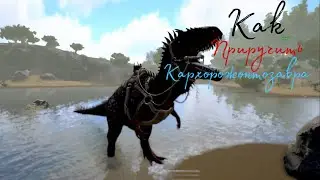 Как приручить КАРХОРОДОНТОЗАВРА В Ark Ultimate Edition