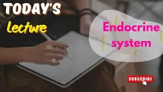 Endocrine System in detail | Glands | Hormone| Pituitary Gland |10th Class Biology in Urdu, Hindi