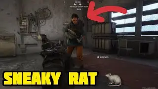Rat gets INSTANT Karma trying to steal my GOOP