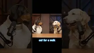 Dog Logic: The 