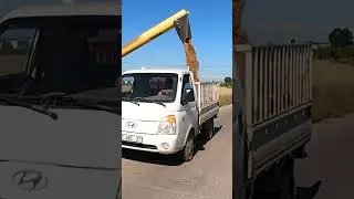 D&ouml;ver Bi&ccedil;er Buğday Boşaltma &Ccedil;alışması Kamyonet