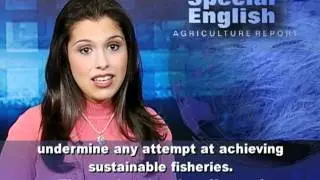 US, EU to Increase Fight Against Illegal Fishing