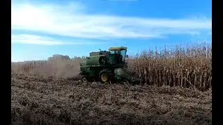 4420 John Deere Combine Harvesting Corn.