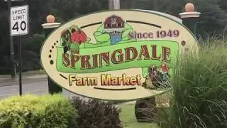 An inside look at Springdale Farm's fall lineup