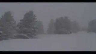 Powder Country at Powder Mountain