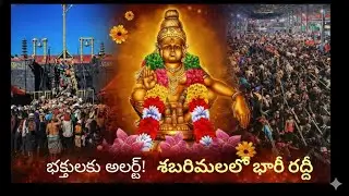 Sabarimala Temple | Latest Sabarimala Crowd Update | sabarimalaupdate