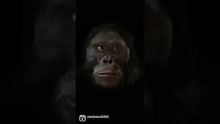 sembari , among us ,evolution