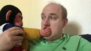 Tim Vine and Chimpeon.