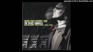 Marc Guillermont - Parallels # 1