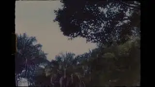 Mystery Of Love - 8mm Call Me By You Name -