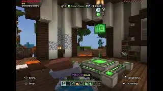 CLUTCH HIVE BEDWARS VICTORY 