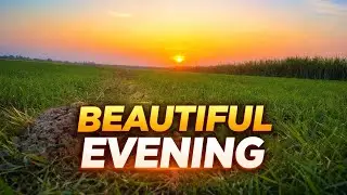 शाम का खूबसूरत नज़ारा | Beautiful Evening Sunset 🌅 | Nature Video  #trending #shorts 