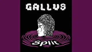 Split