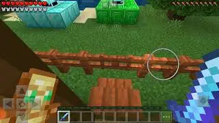 Minecraft Check