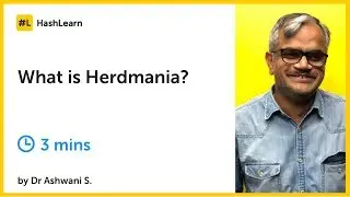 What is Herdmania?