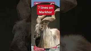 7 Lines on Markhor / My Favourite Animal Markhor #essay #Markhor #myfavouriteanimal