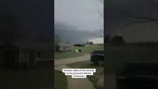 Massive tornado hits Selmer, TN 4-3-25 #tornado #weather