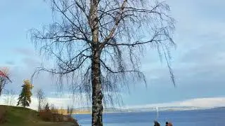 Reuniontime in Vollen, Norway.
