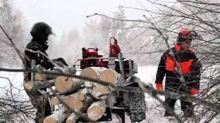 Polaris Sportsman 550 & Prospector Pro & Timber Pro 600 Skiset
