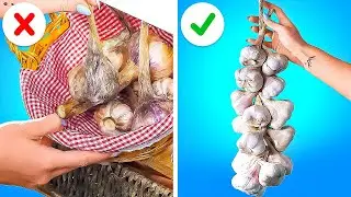 Mantieni il tuo cibo FRESCO pi&ugrave; a lungo con questi semplici trucchi di conservazione!