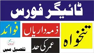 Tiger Force Pay, responsibilities, Criteria, Benefits (Pakistan)