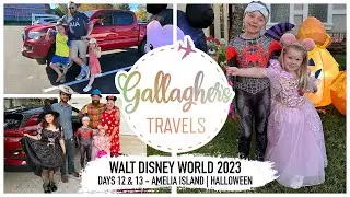 WALT DISNEY WORLD FLORIDA 2023 | DAY 11 & 12 | ROAD TRIP | AMELIA ISLAND | PARK BREAK | WALMART HAUL