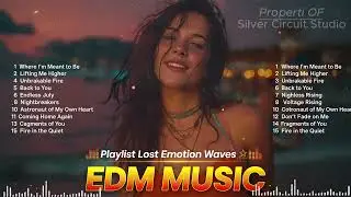 Full Bass EDM Energy 2026 Alan Walker Style Remix Playlist to elevate your daily energy