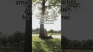 undiscovered indie artist