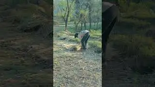 dulha bechara kha fus gya